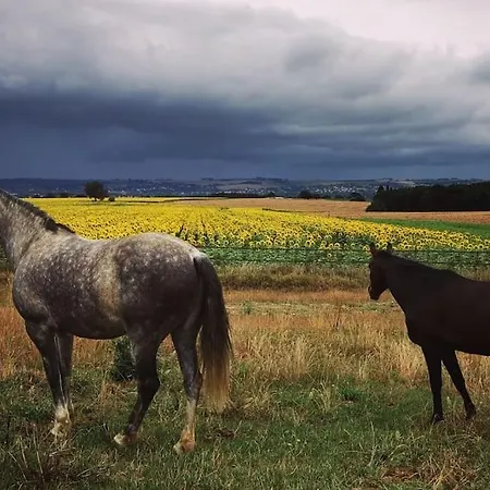 Avec Jardin Et Vue Sur Campagne *