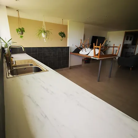 Rez De Jardin Appartement Puydaniel