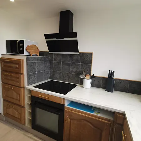 Rez De Jardin Appartement Puydaniel